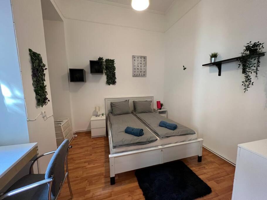 Big Apartment In The City Centre Budapeste Exterior foto